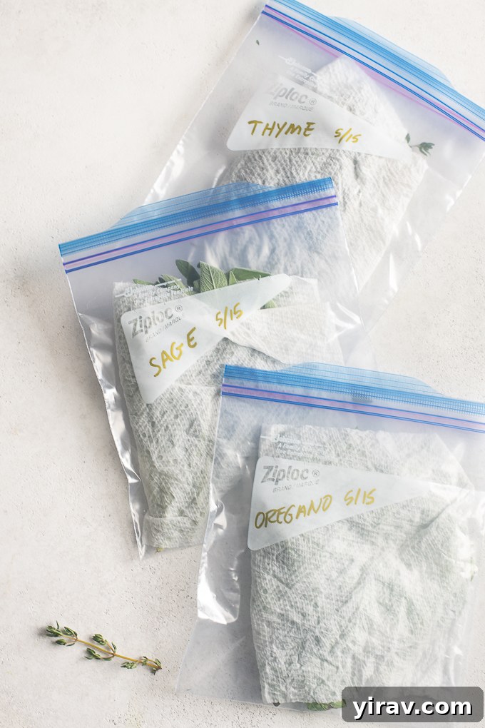 The Essential Guide to Fresh Herbs 6 Fresh herbs in damp paper towels and zip top bags.