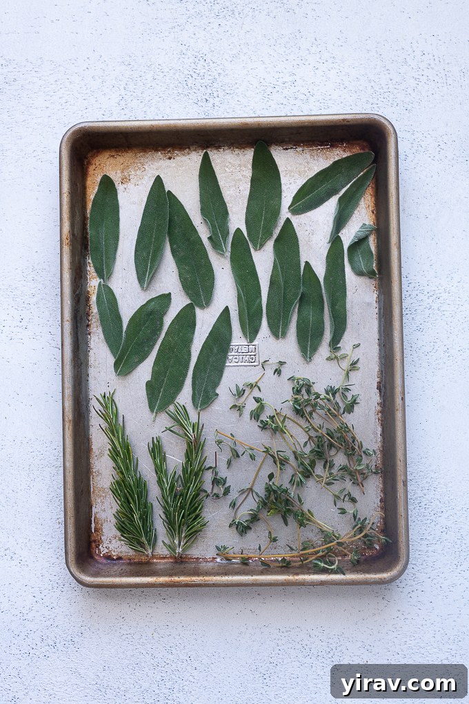 The Essential Guide to Fresh Herbs 8 Whole leaves and herbs on stems frozen.