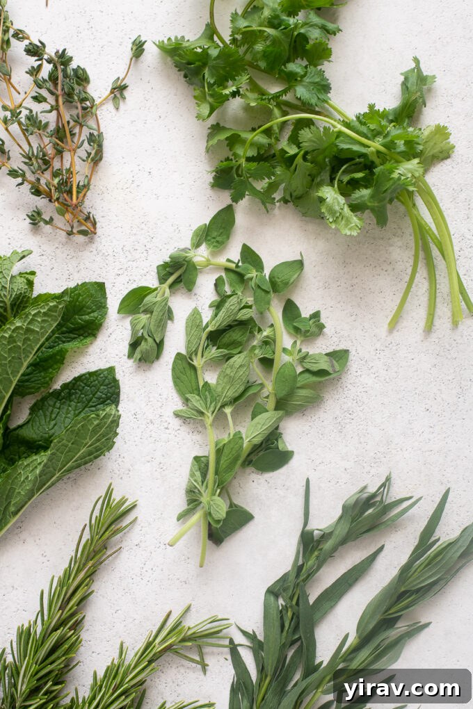 The Essential Guide to Fresh Herbs 9 Best fresh herbs to cook with.