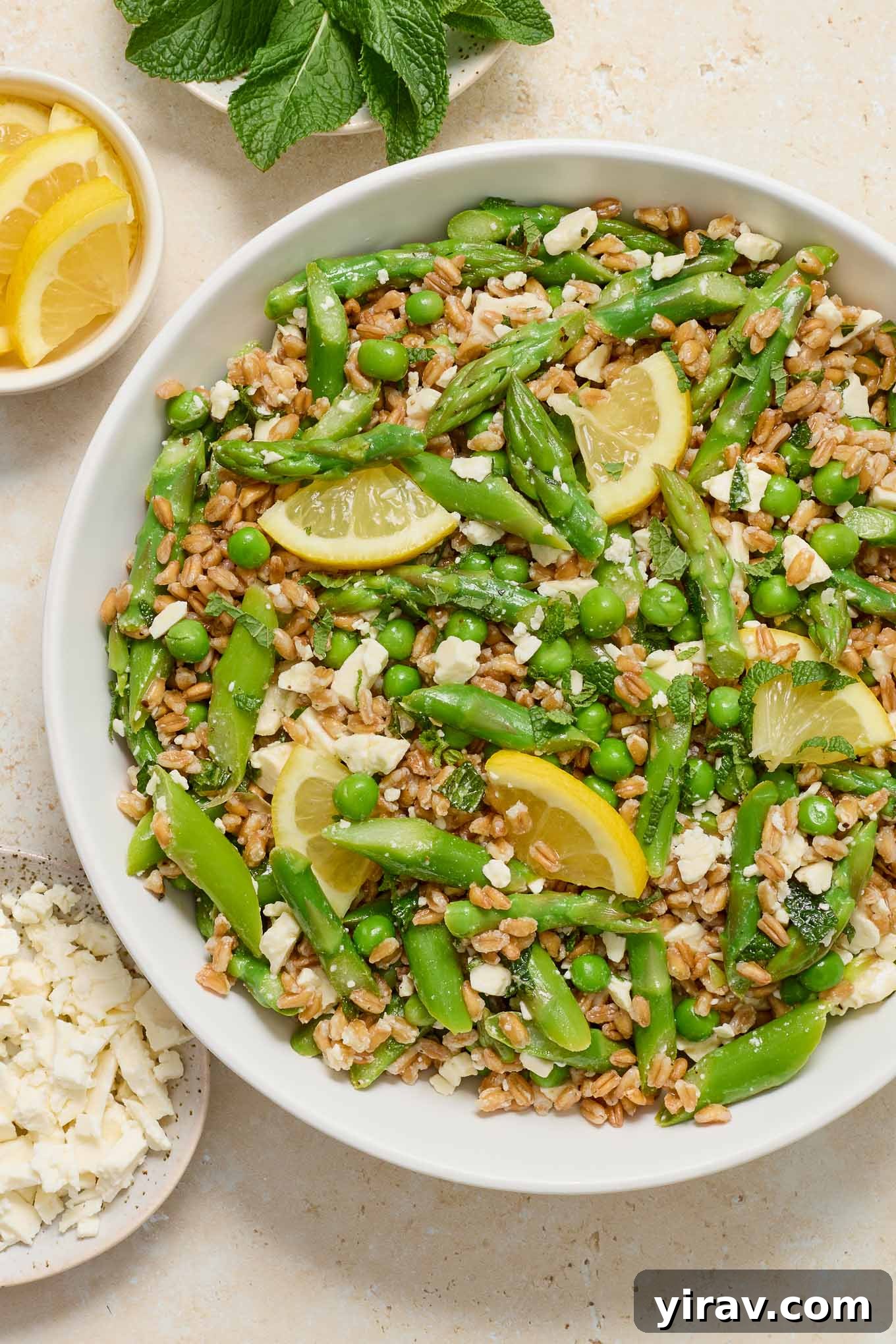 Spring farro salad in a white serving bowl