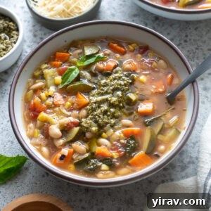 A beautifully presented bowl of Summer Vegetable Soup with Pesto, garnished with fresh basil.