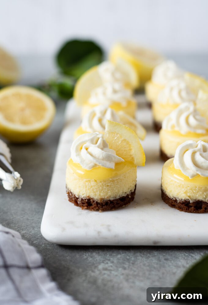 Exquisite mini lemon cheesecakes with a spicy gingersnap crust, beautifully arranged on a rustic marble board, promising a burst of flavor.