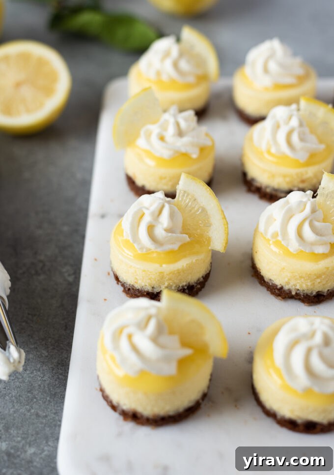 Close-up of mini lemon cheesecakes adorned with swirls of lemon curd and fresh whipped cream, ready to be served.