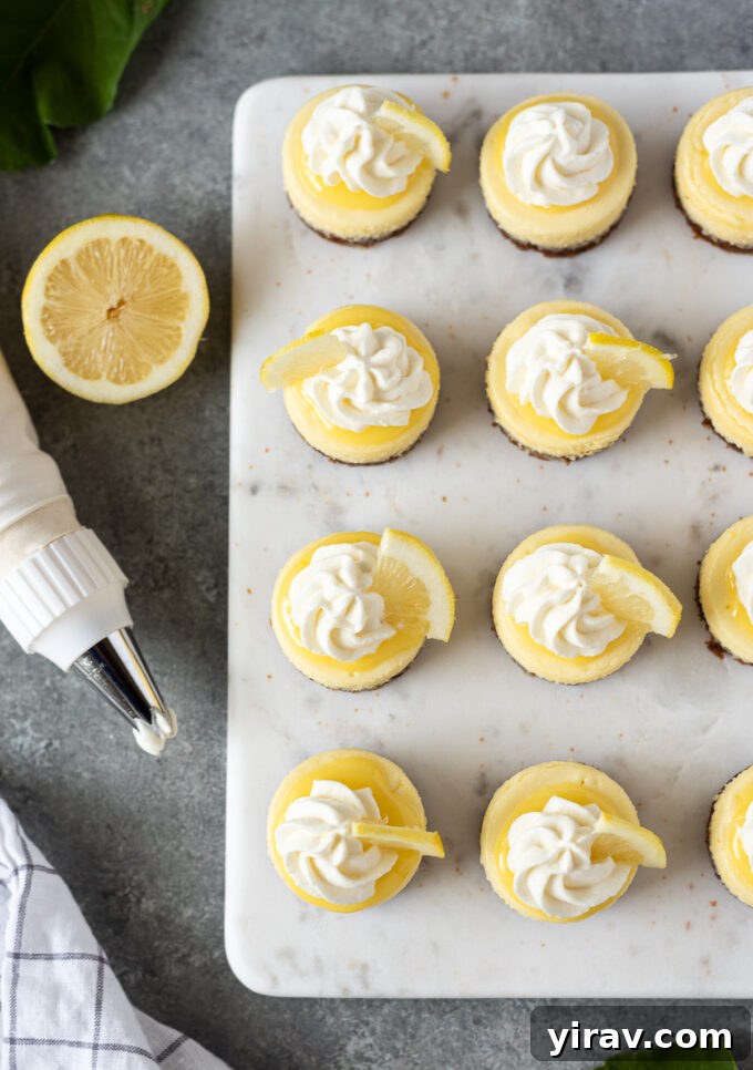A stunning display of mini lemon cheesecakes on a serving board, garnished with whipped cream and delicate lemon slices, ready for guests.