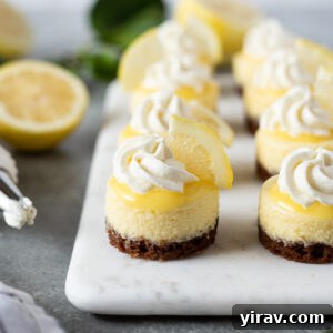 Mini lemon cheesecakes with gingersnap crust on a marble board.
