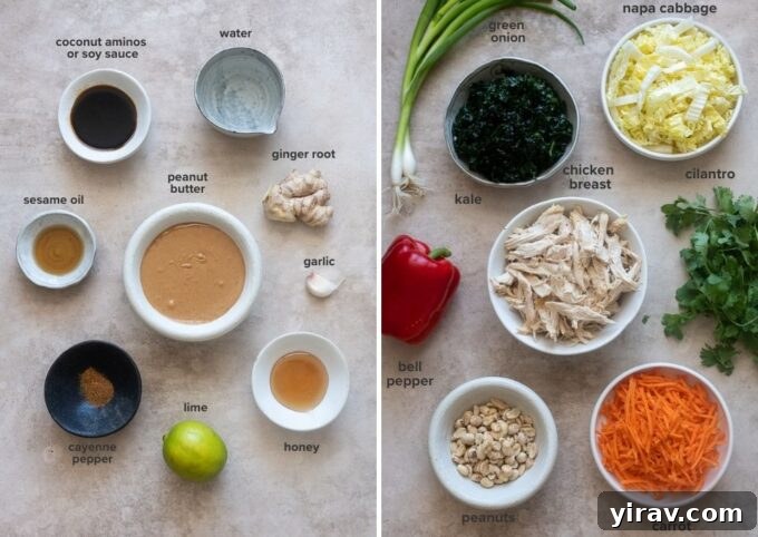 Thai chicken salad with peanut dressing recipe ingredients.