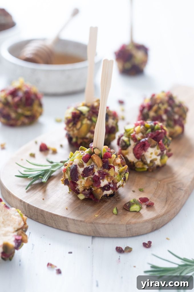 Mini goat cheese balls with wooden picks, garnished for an appetizer spread