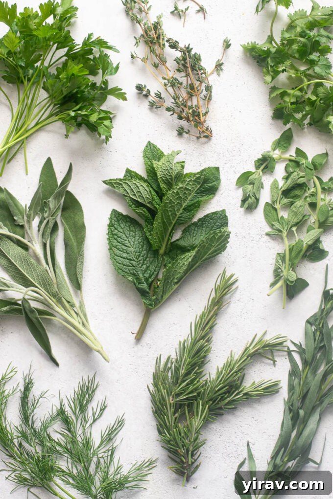 A vibrant assortment of fresh herbs and leafy greens, ready for proper storage to maintain their freshness.