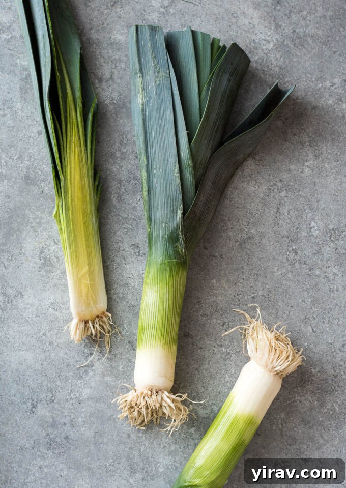 Close-up photo of fresh leeks, illustrating proper selection and storage for alliums.