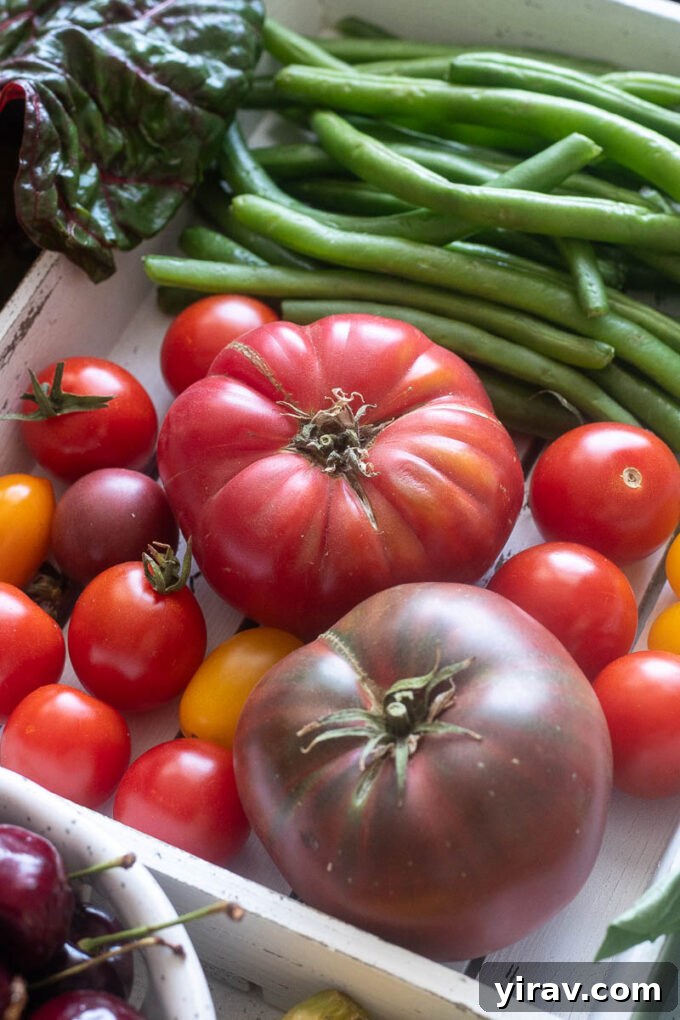 Various ripe tomatoes in different colors, illustrating optimal storage methods for tomatoes and peppers.