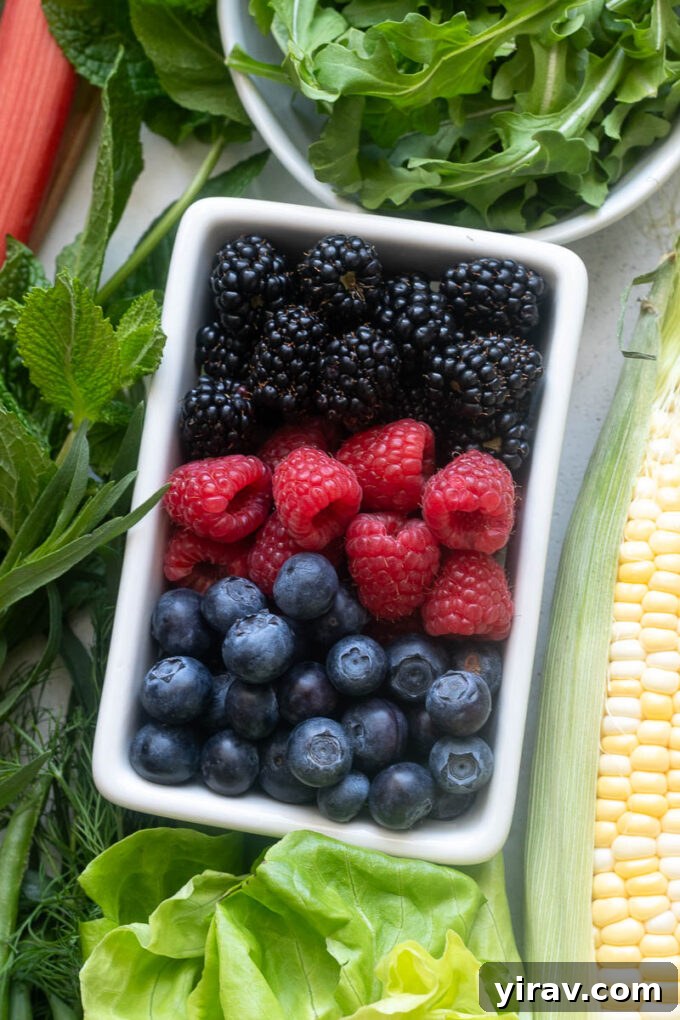 A colorful collection of fresh berries, including blueberries, raspberries, and strawberries, for optimal selection and storage.