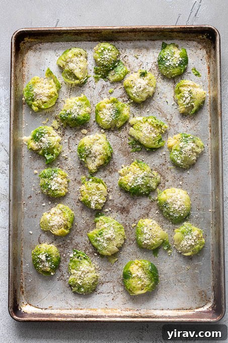 Smashed brussels sprouts before roasting.