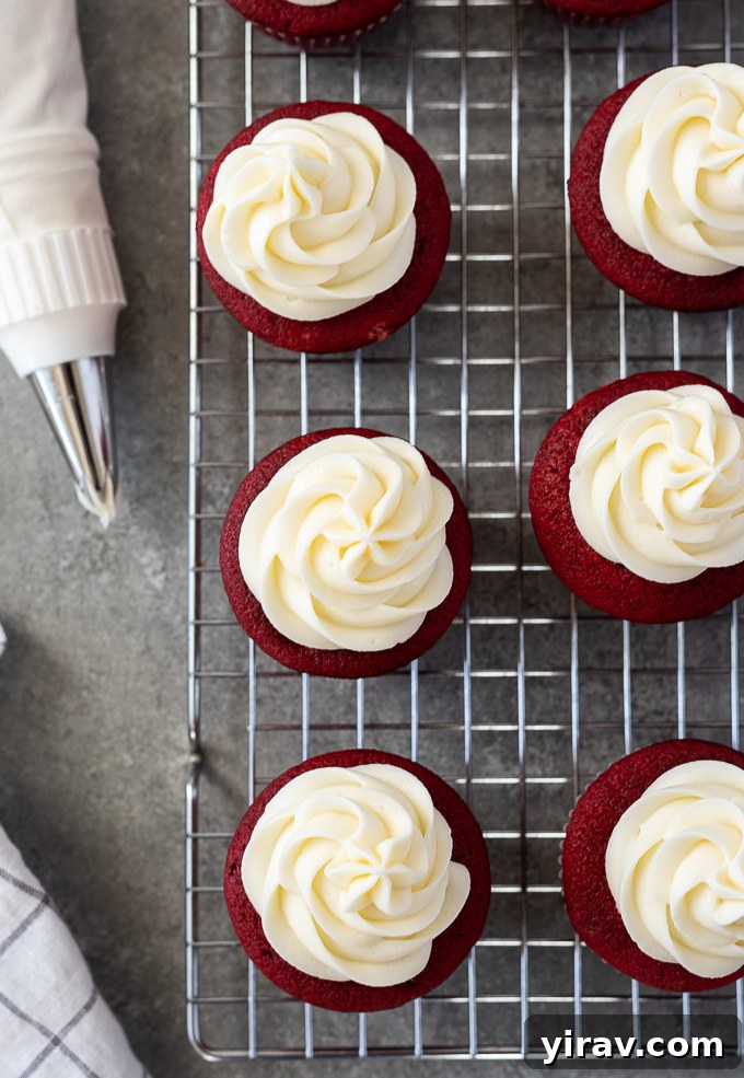 Freshly baked red velvet cupcakes cooling on a wire rack, topped with swirls of delicious cream cheese frosting, awaiting their final presentation.
