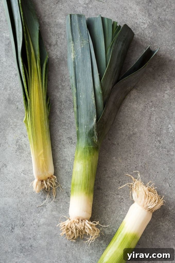 A neatly arranged bundle of fresh leeks, showcasing their distinctive white and green stalks.