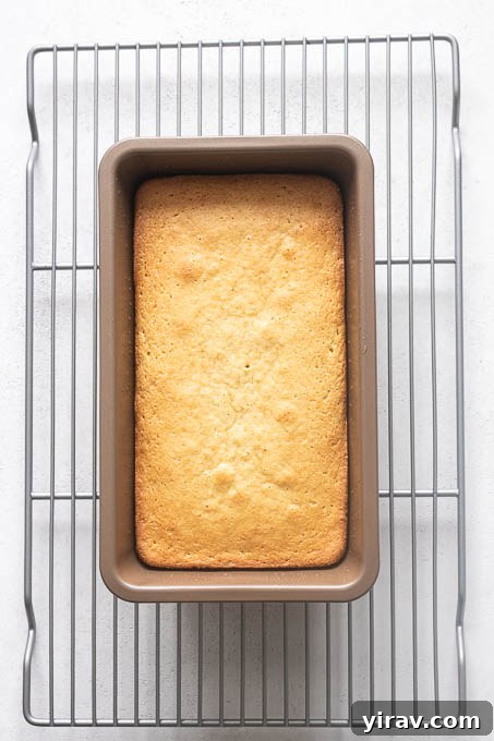 A perfectly baked almond flour lemon loaf cake resting on a wire rack to cool after being removed from the oven.