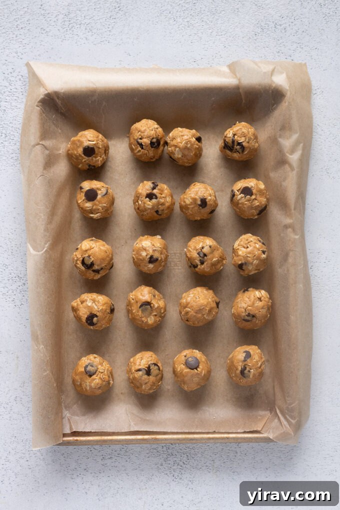 Rolled peanut butter protein balls neatly placed on a parchment lined baking sheet.