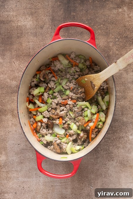 Ground pork ramen broth with pork, vegetables, coconut aminos and rice wine vinegar.
