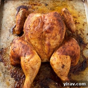 Spatchcock chicken on roasting pan