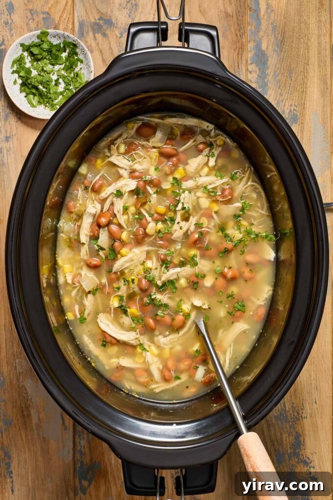 Green enchilada chicken soup in the crockpot.