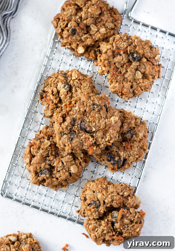 Golden Spiced Carrot Oat Cookies 3 Freshly baked carrot and oatmeal cookies cooling on a wire rack, golden brown and inviting.