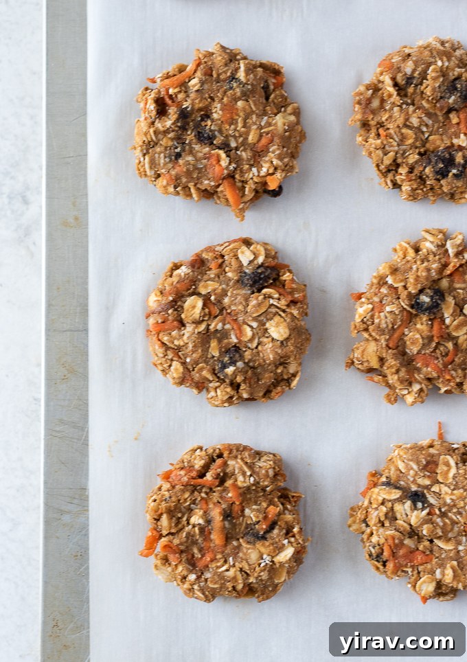 Golden Spiced Carrot Oat Cookies 7 Unbaked carrot oatmeal cookie dough scooped onto a parchment paper-lined baking sheet, ready for the oven.