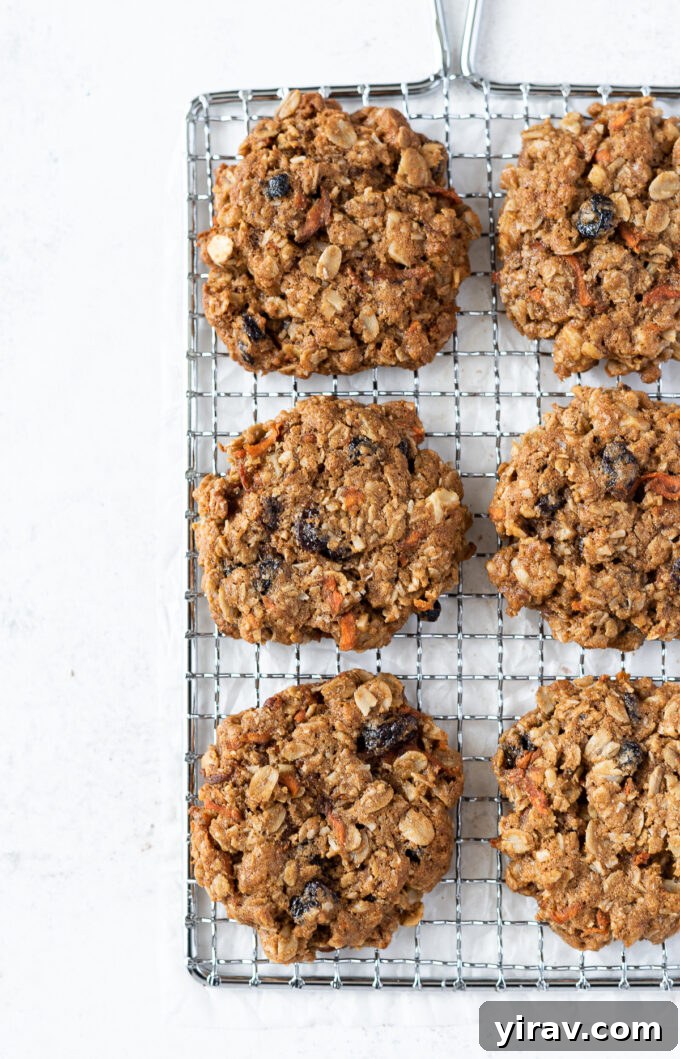 Golden Spiced Carrot Oat Cookies 8 Freshly baked oatmeal carrot cookies with visible raisins scattered on a cooling wire rack.