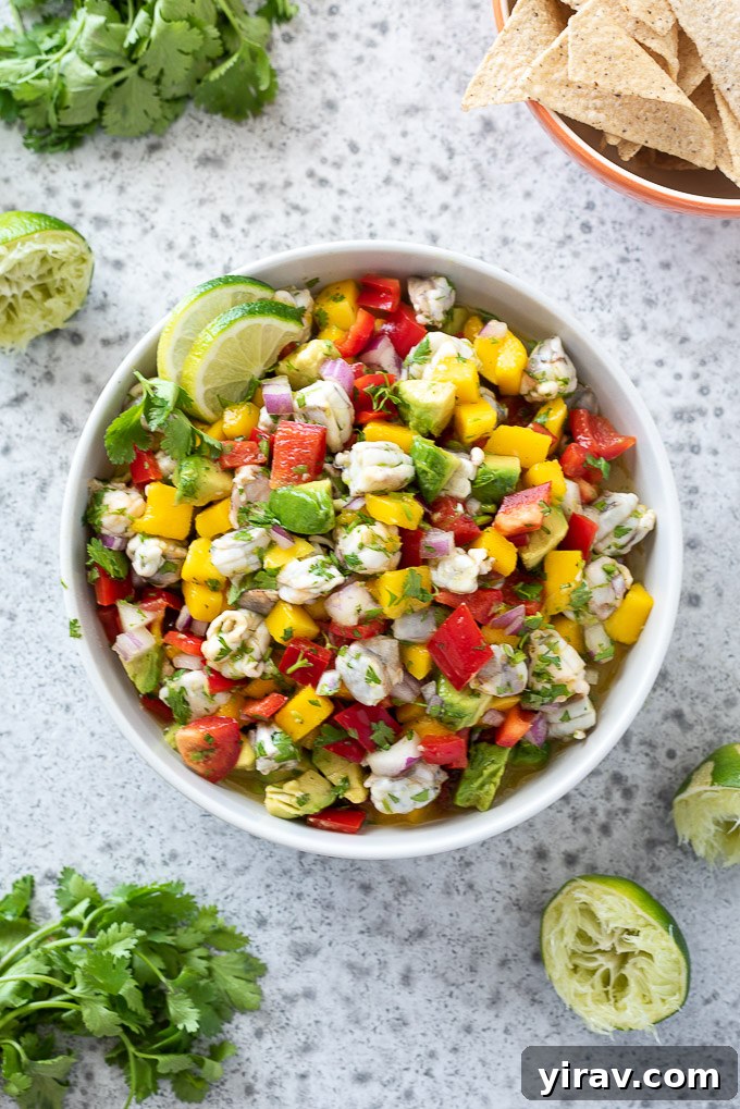 Effortless Shrimp Ceviche 3 Fresh shrimp ceviche garnished with lime slices and cilantro
