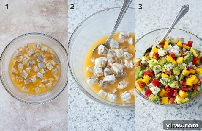 Effortless Shrimp Ceviche 5 Step-by-step preparation of shrimp ceviche