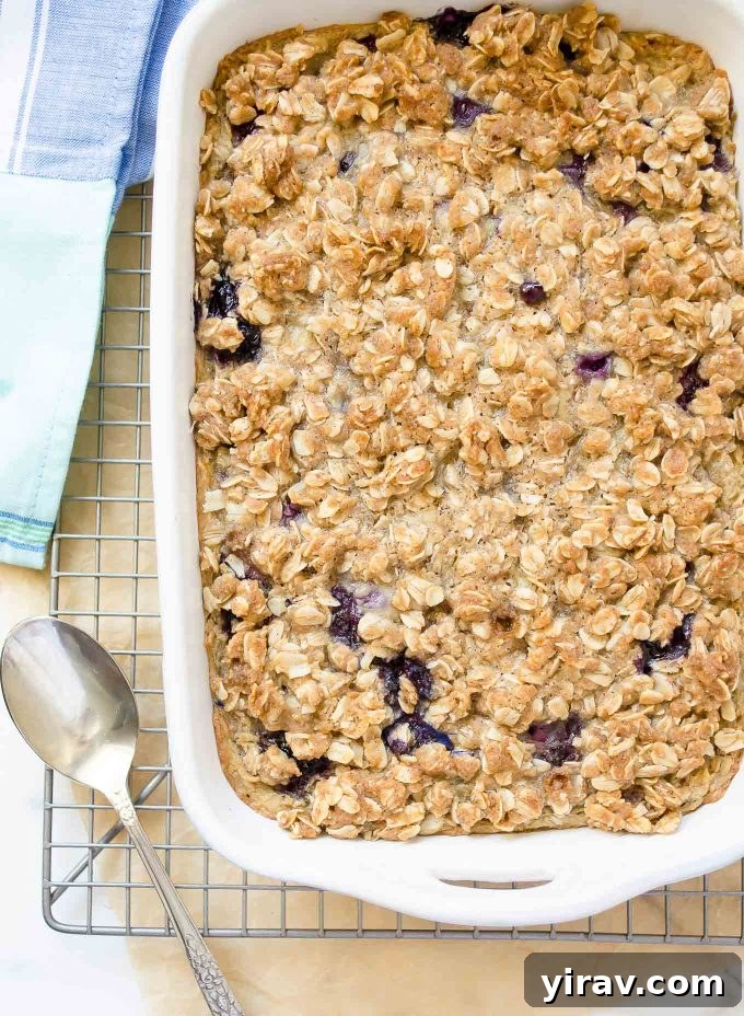Overnight Blueberry Baked Oatmeal Blueberry baked oatmeal in baking dish, ready to be served