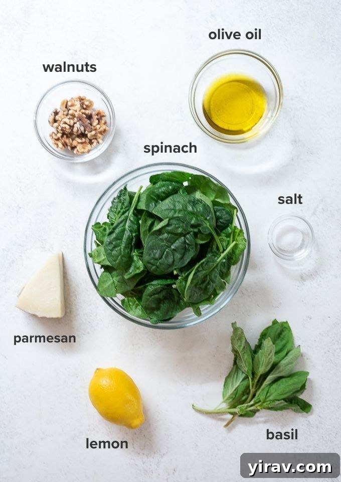 Vibrant Spinach Pesto 4 Spinach pesto ingredients