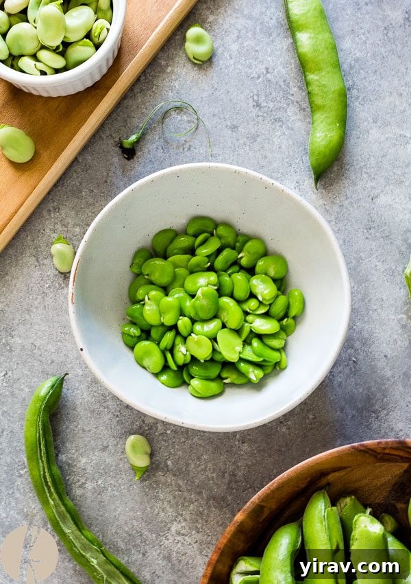 Mastering Fava Beans 4 Overhead shot of perfectly cooked and peeled fava beans in a white bowl