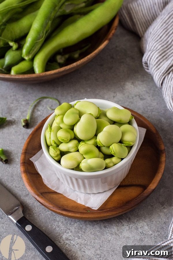 Mastering Fava Beans 5 Shelled fava beans in a white ramekin, showing the outer skin still on