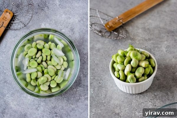 Mastering Fava Beans 6 Collage showing the visual steps of how to prepare fava beans, from podding to peeling