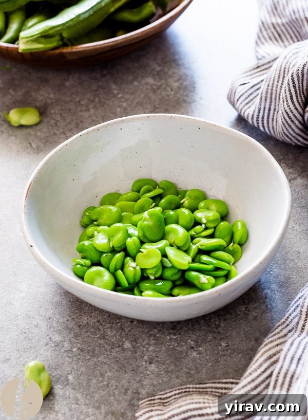 Mastering Fava Beans 7 Close up of cooked fava beans in a white bowl, highlighting their creamy interior