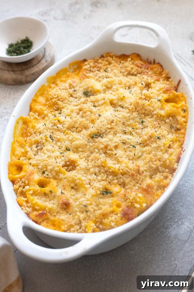Golden Butternut Macaroni 3 Butternut squash macaroni and cheese bubbling in a white baking dish.