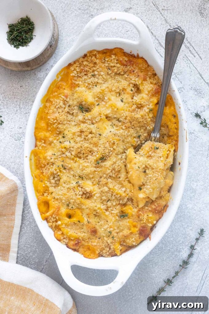 Golden Butternut Macaroni 6 Baked butternut squash mac and cheese in a baking dish with a spoon ready to serve.