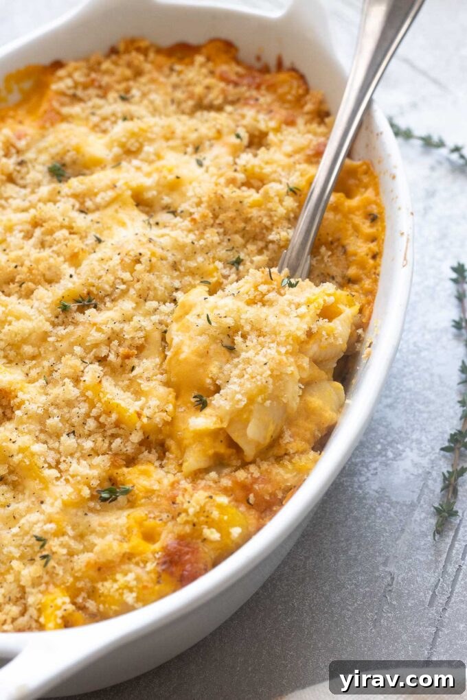 Golden Butternut Macaroni 7 Butternut squash mac and cheese in a large baking dish, ready to be served.