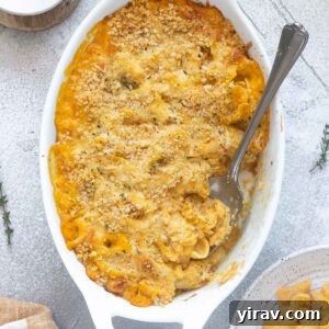 Golden Butternut Macaroni 8 Butternut squash mac and cheese with breadcrumbs on top.