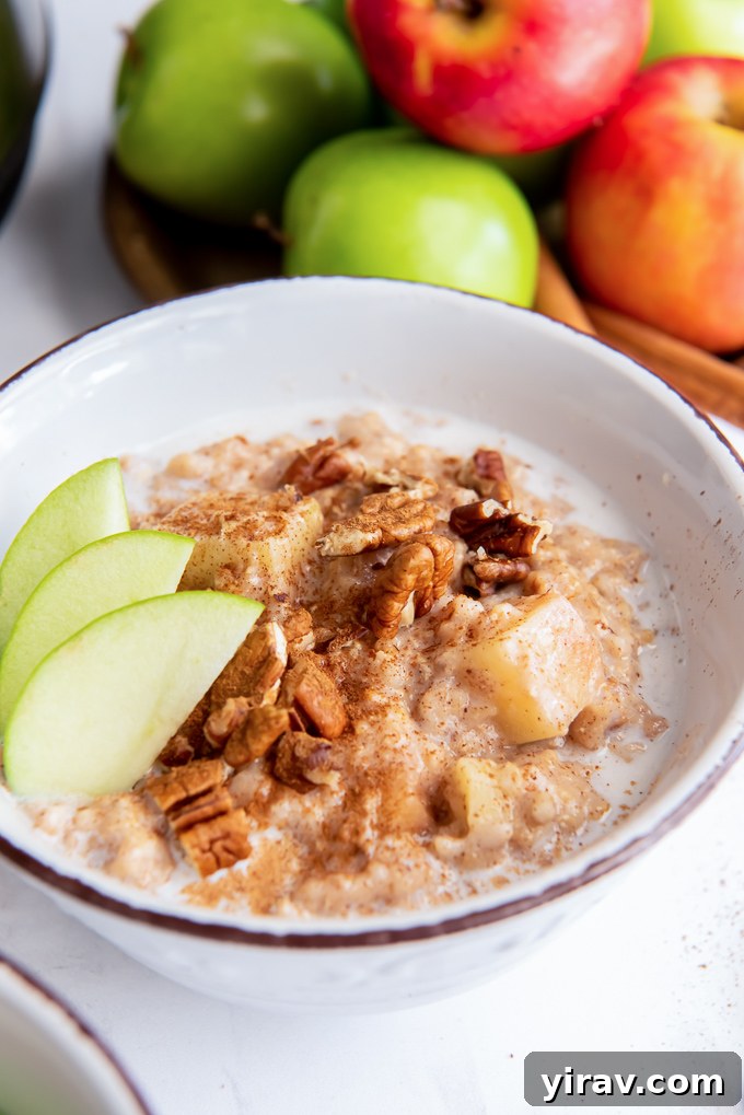 Apple Pie Slow Cooker Oatmeal 5 Bowl of apple slow cooker steel cut oats garnished with fresh apple slices and a sprinkle of cinnamon
