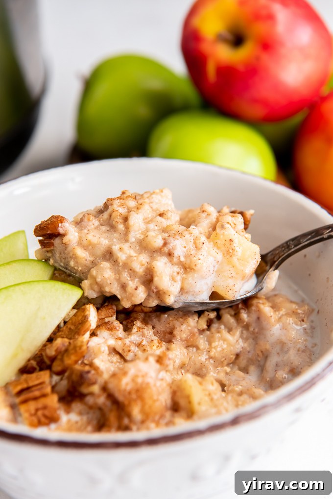 Apple Pie Slow Cooker Oatmeal 8 Close-up of a spoonful of slow cooker steel cut oats in a bowl, showing texture