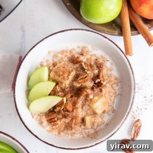 Crockpot steel cut oats in a bowl, garnished with apples