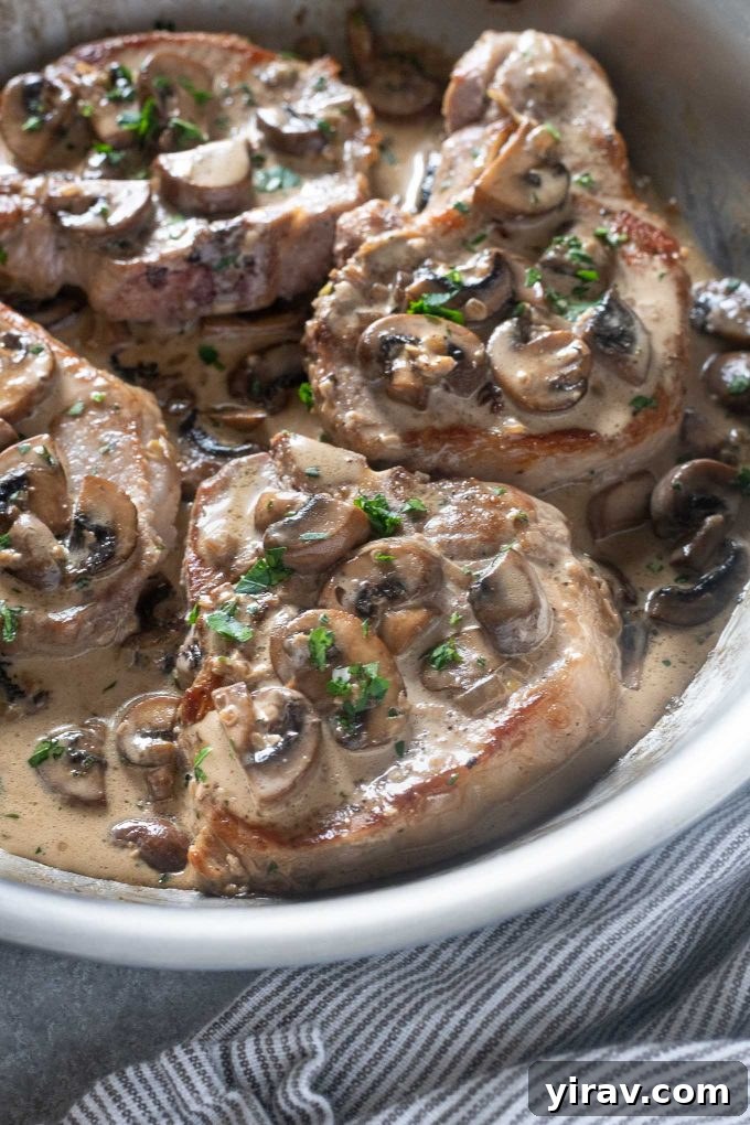Pork chops with creamy mushroom sauce in pan