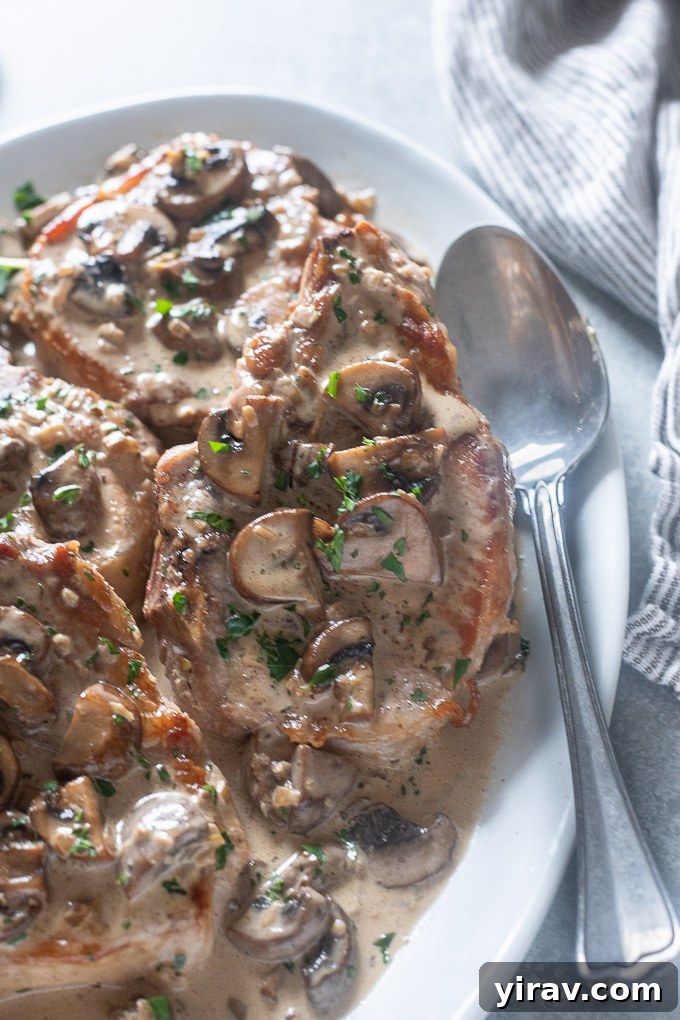 Pan seared pork chops with creamy mushroom sauce on a platter