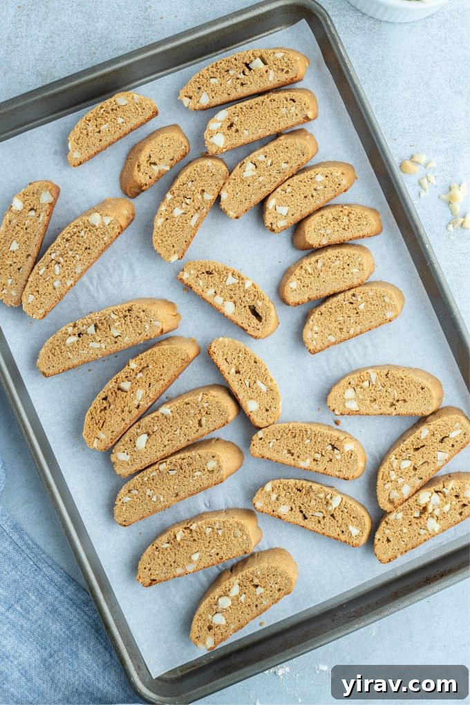 Freshly baked gingerbread biscotti logs on a baking sheet, ready for the second bake and slicing.