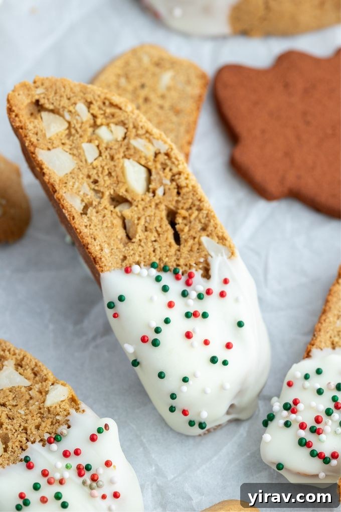 Gingerbread biscotti dipped in white chocolate with festive sprinkles, beautifully arranged for a holiday gift.