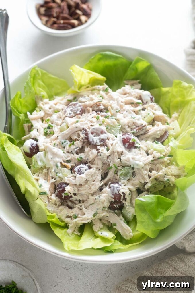 Sonoma chicken salad in a bowl over a bed of lettuce, showcasing its vibrant ingredients.
