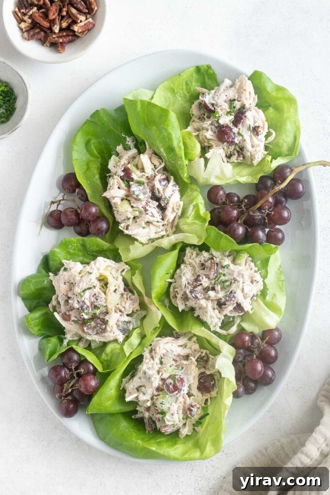 Sonoma chicken salad elegantly served in fresh lettuce wraps for a light meal.