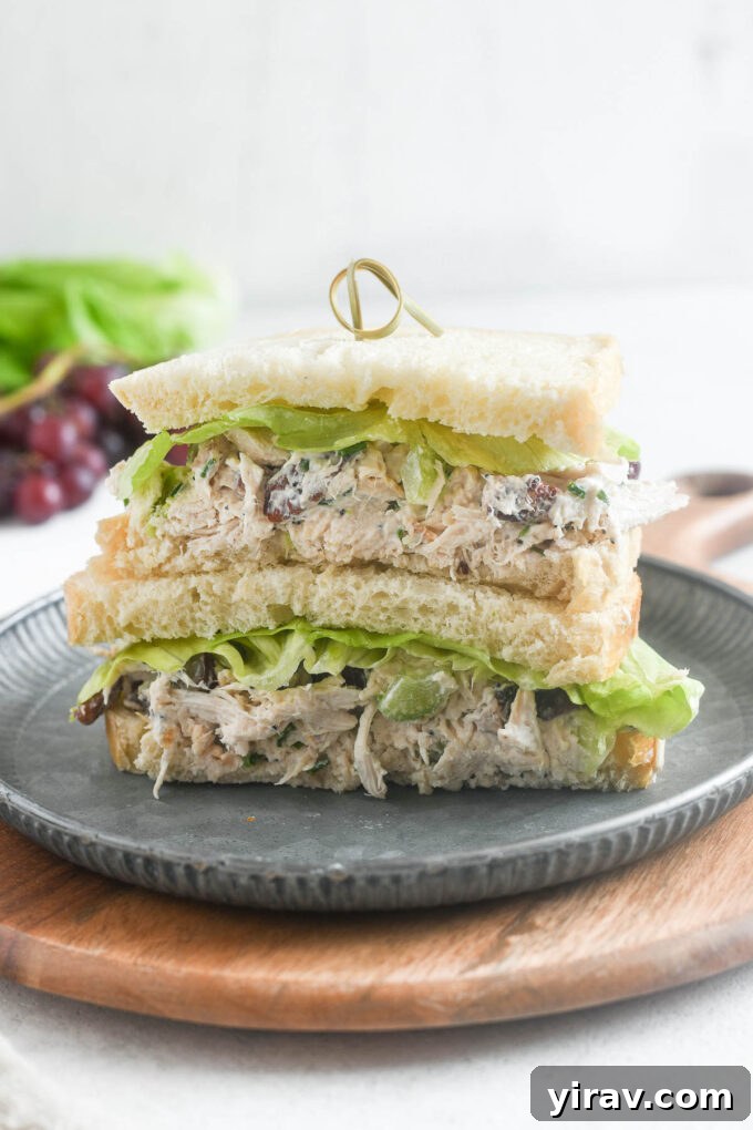 A delicious chicken salad sandwich with grapes and pecans on whole grain bread.