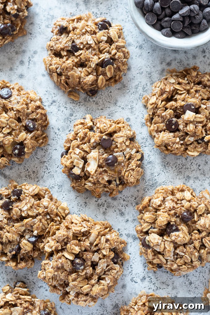 Freshly baked banana breakfast cookies cooling on parchment paper on a baking sheet, golden and perfectly formed.