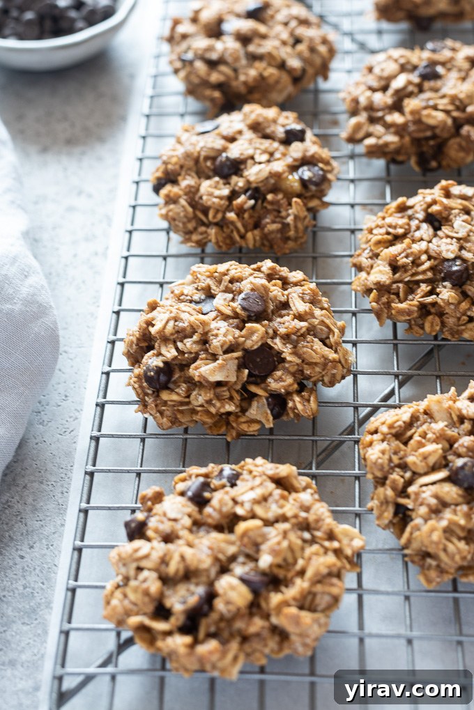 Warm, healthy banana breakfast cookies cooling on a wire rack after baking, showcasing their perfect texture and delicious appearance.